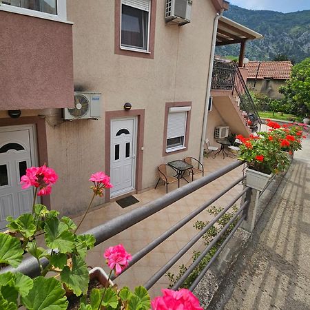 Apartment Aleksandar Kotor Luaran gambar